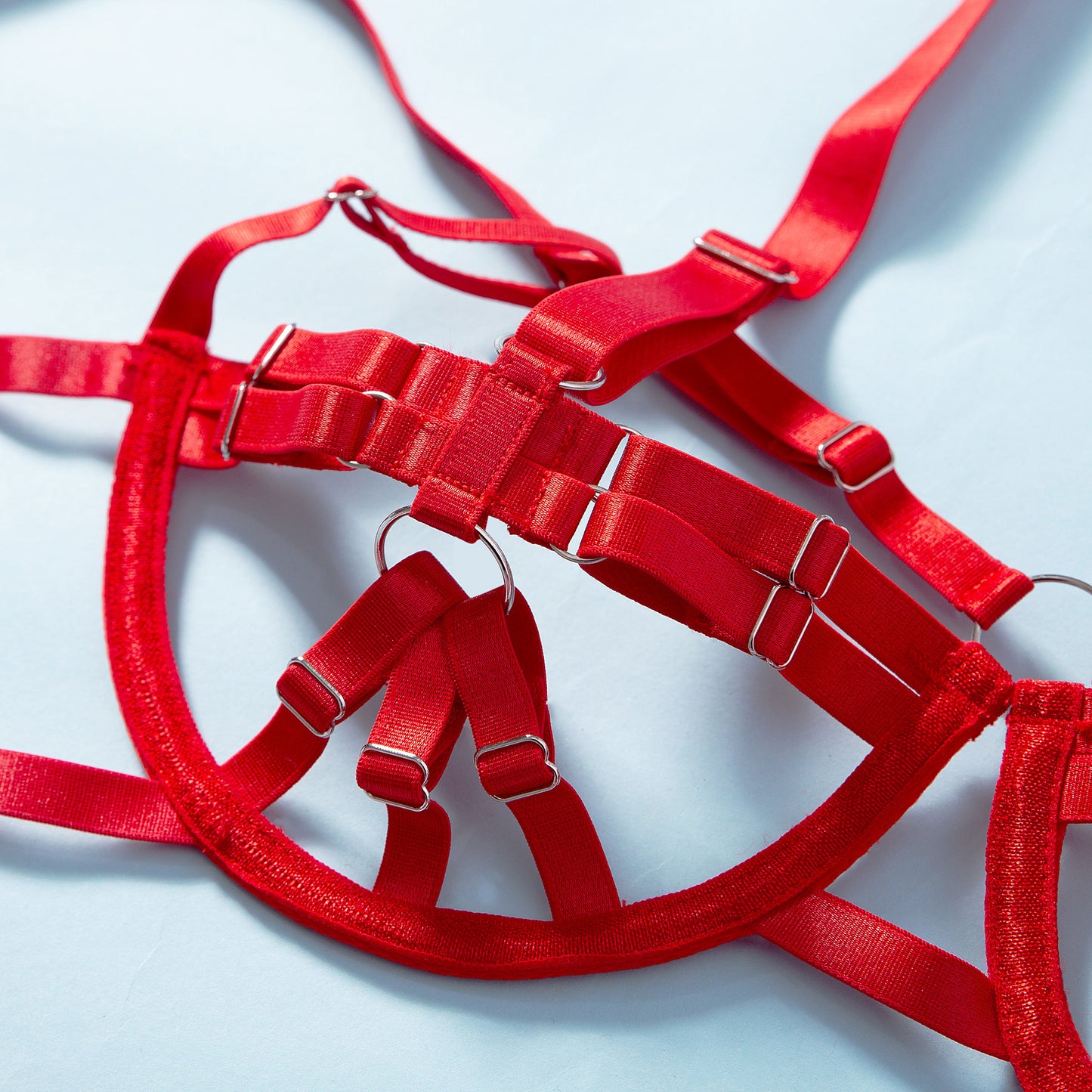 Scarlet Temptress Strappy Lingerie Set