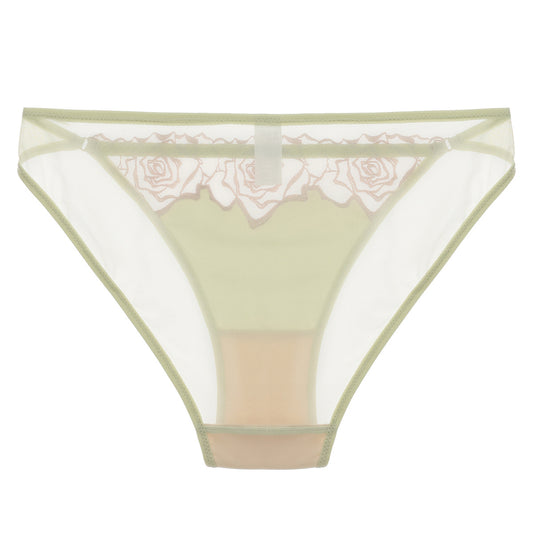 Aeris Brief Sheer Mesh Panty mooods