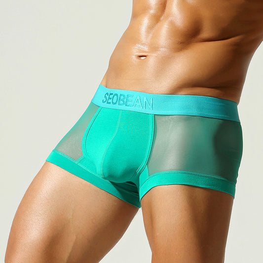 Aether Veil Semi-Sheer Trunk mooods