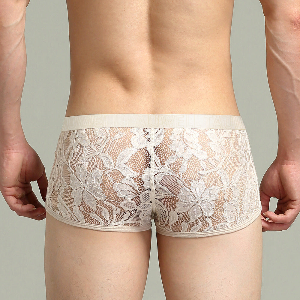 Lace Dominion Men’s Boxer-Briefs mooods