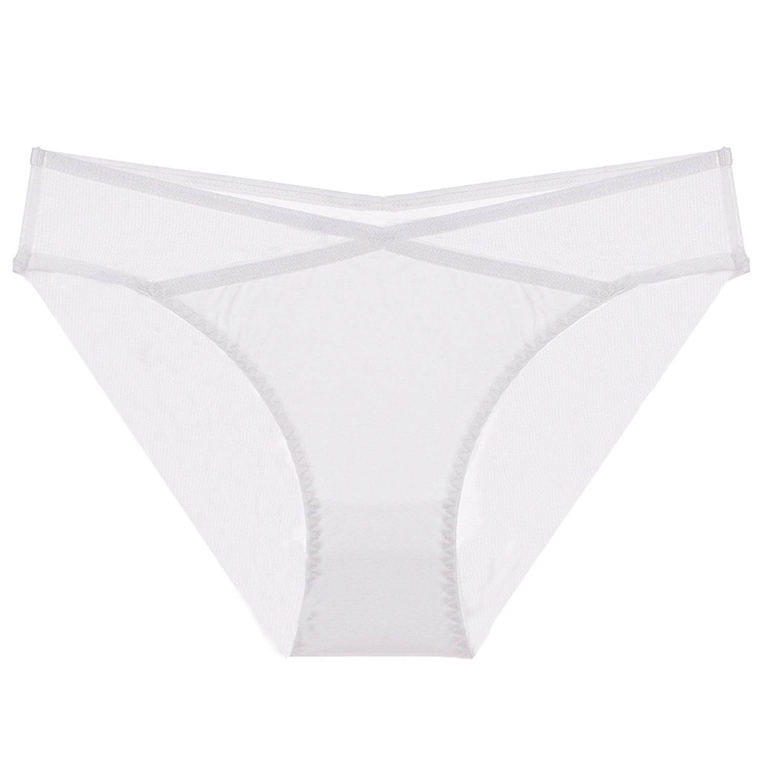 Crimson Veil Mesh Panty mooods