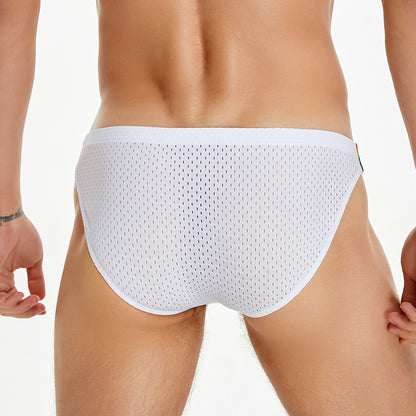 Pride Line Mesh Briefs – Arctic White mooods