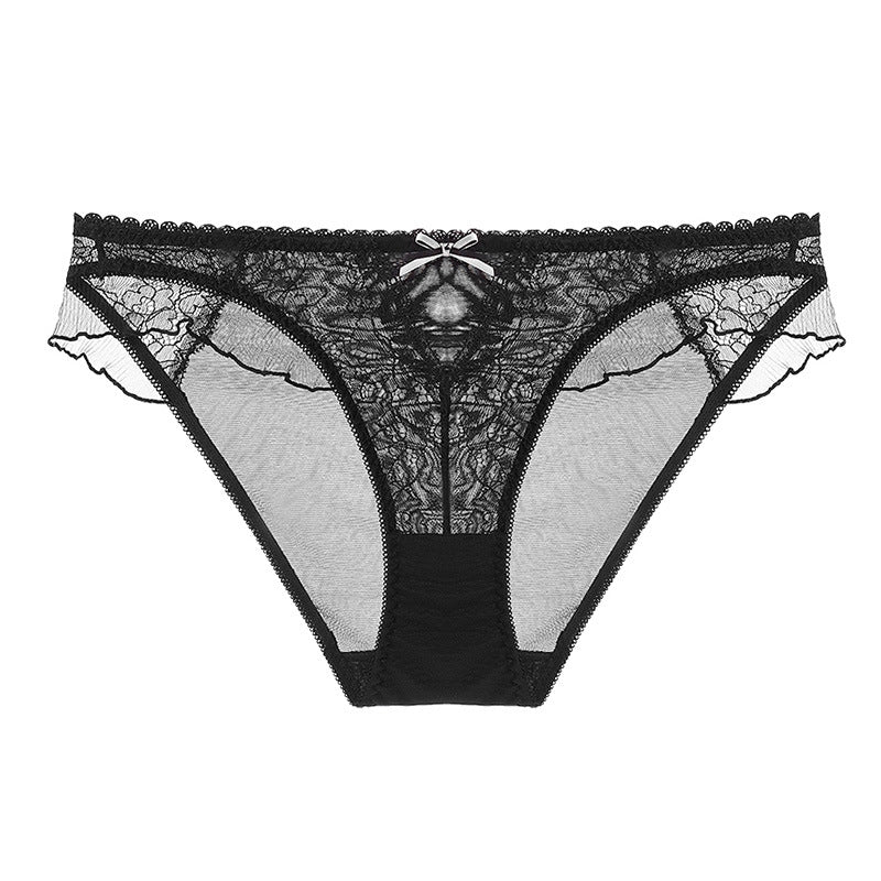 Whisper Lace Sheer Panty mooods