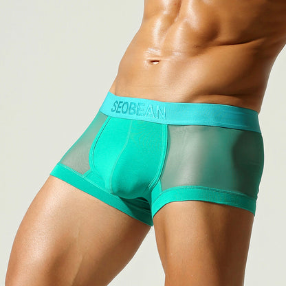 Aether Veil Semi-Sheer Trunk mooods