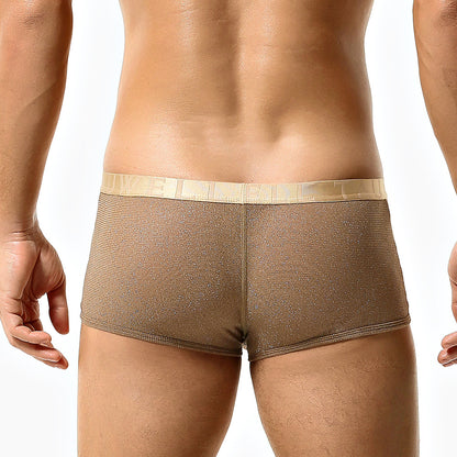 Golden Sheer Luxe Boxer mooods