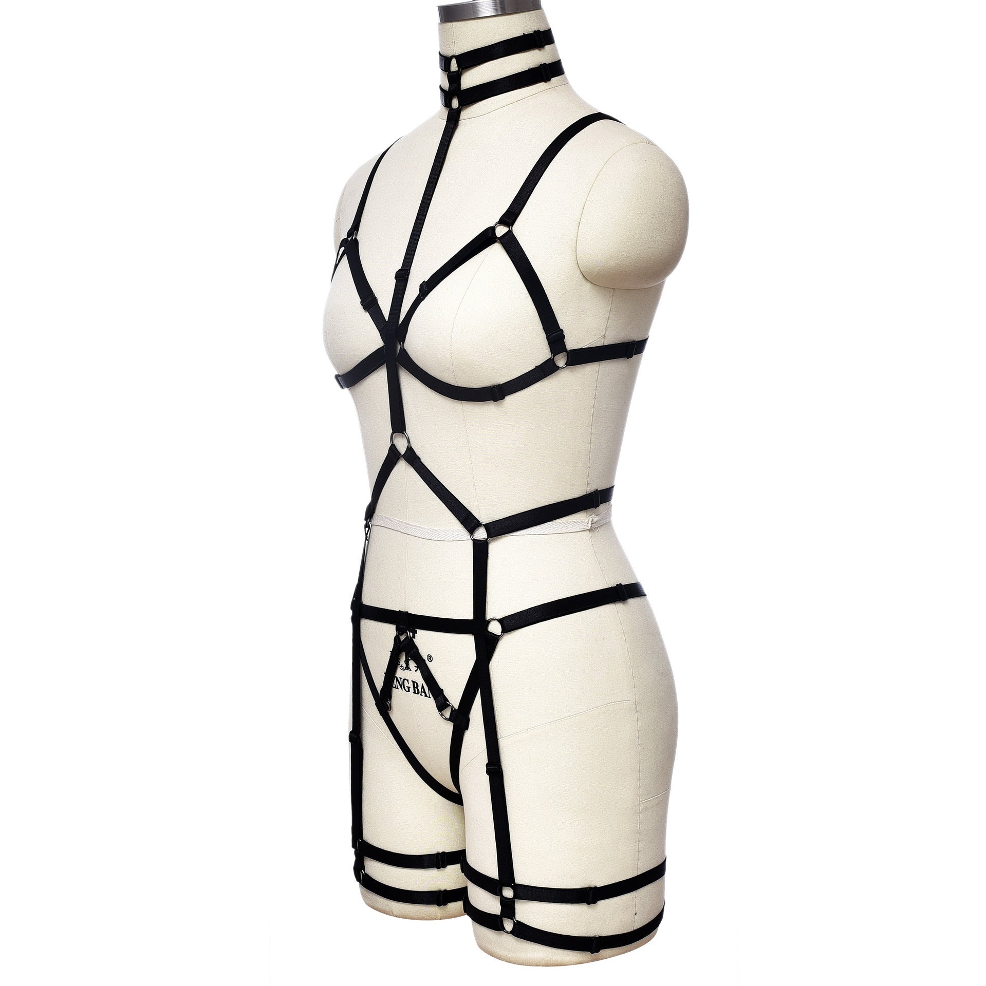 Strapped Seduction Harness