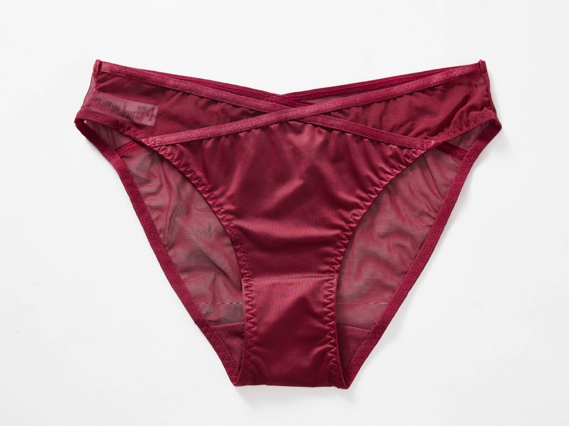 Crimson Veil Mesh Panty mooods