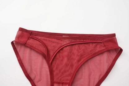 Rouge Whisper Sheer Panty mooods