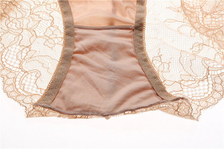 Ethereal Lace Fusion Panty mooods