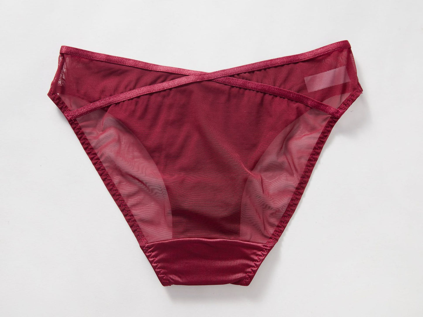 Crimson Veil Mesh Panty mooods
