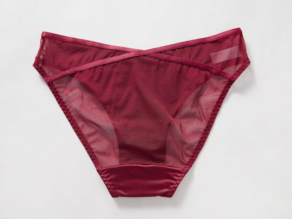 Crimson Veil Mesh Panty mooods