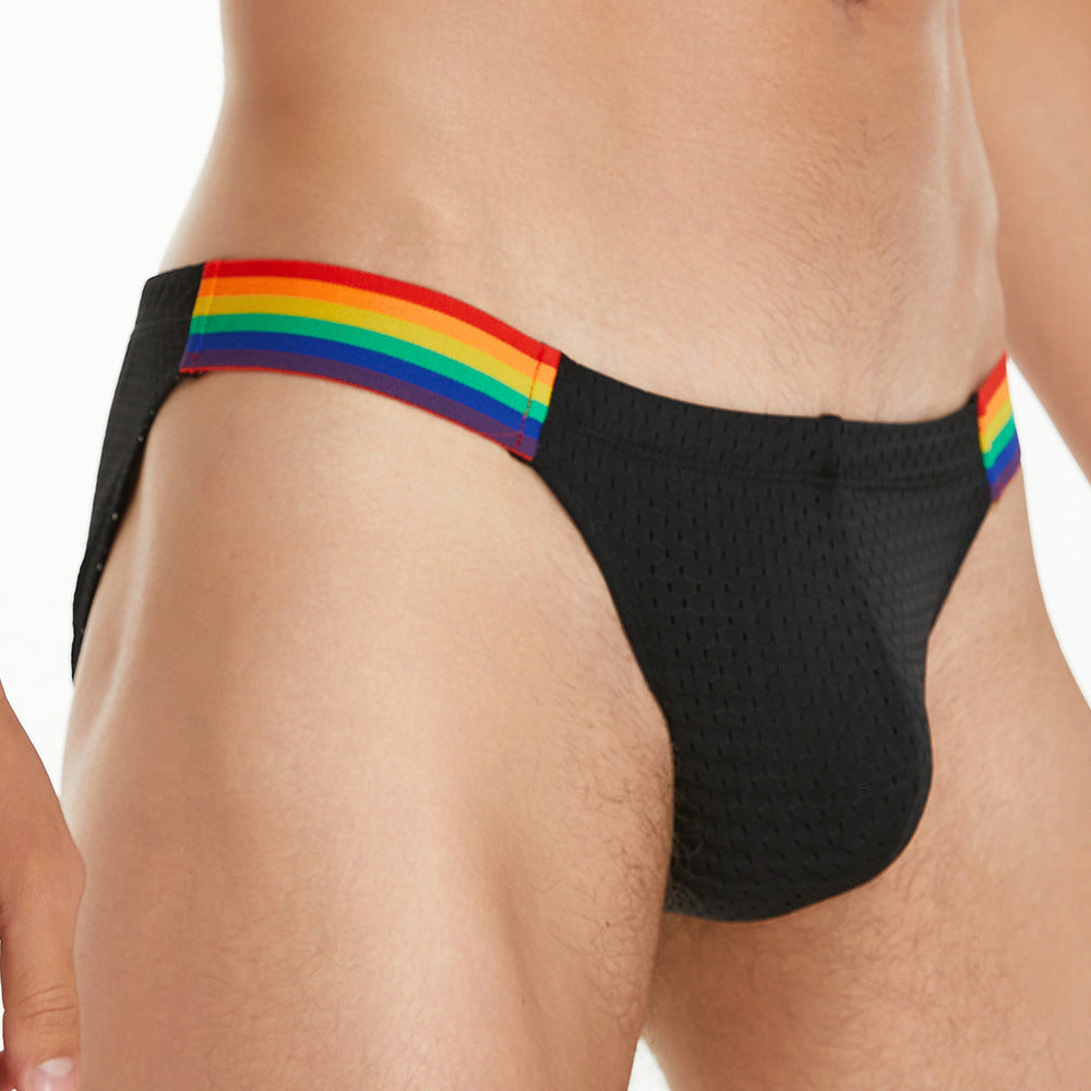 Pride Line Mesh Briefs – Onyx Black mooods