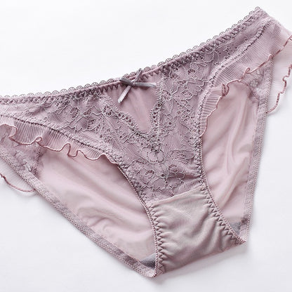 Whisper Lace Sheer Panty mooods