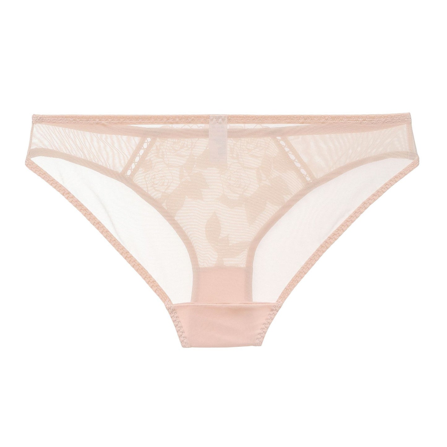 Rosaine Brief – Elegant Sheer Mesh Embroidered Lingerie mooods
