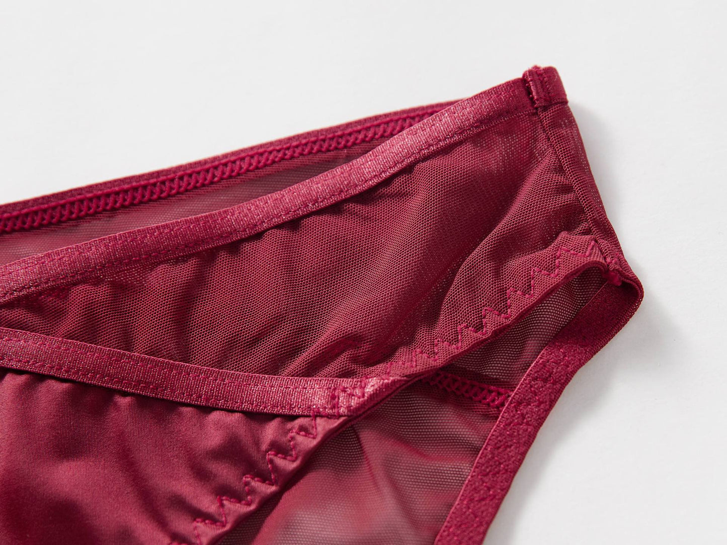Crimson Veil Mesh Panty mooods