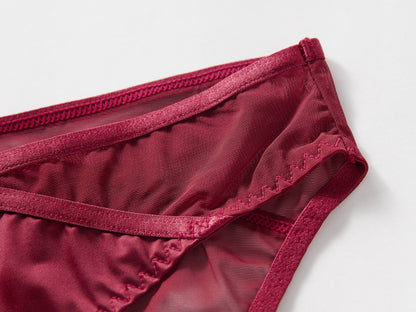 Crimson Veil Mesh Panty mooods