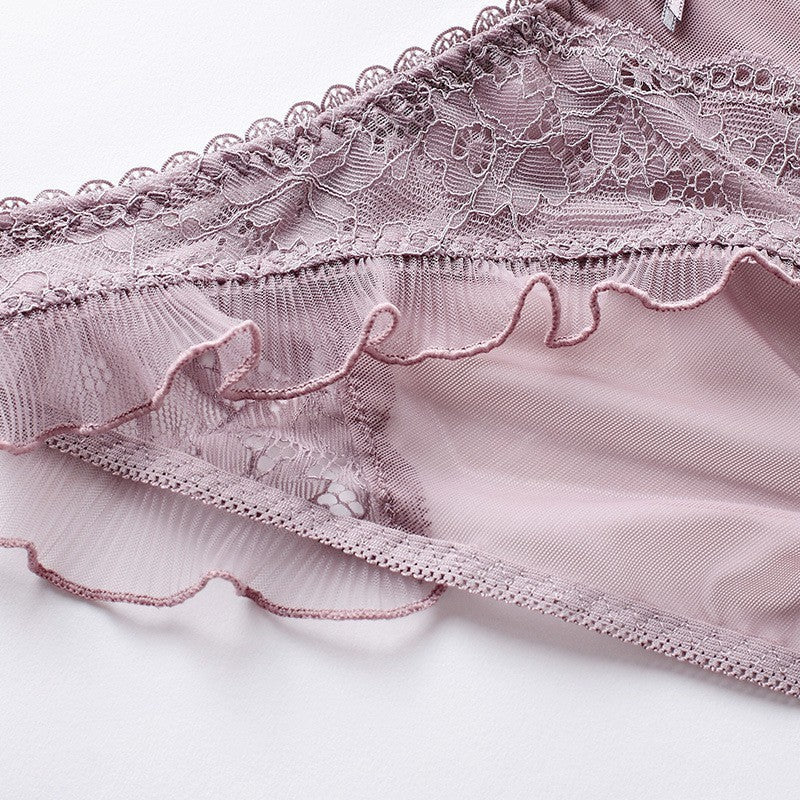 Whisper Lace Sheer Panty mooods