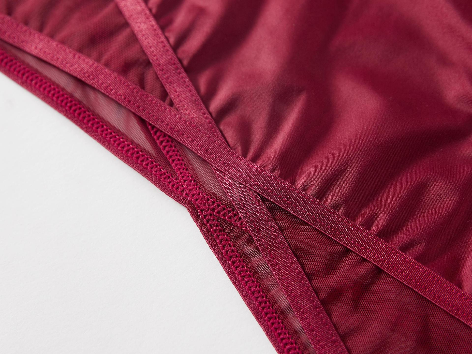 Crimson Veil Mesh Panty mooods
