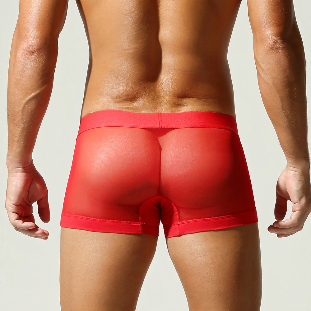 Crimson Pulse Semi-Sheer Trunk mooods