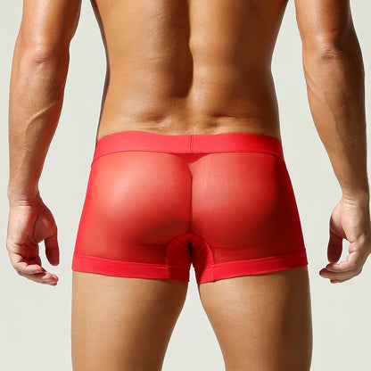 Crimson Pulse Semi-Sheer Trunk mooods