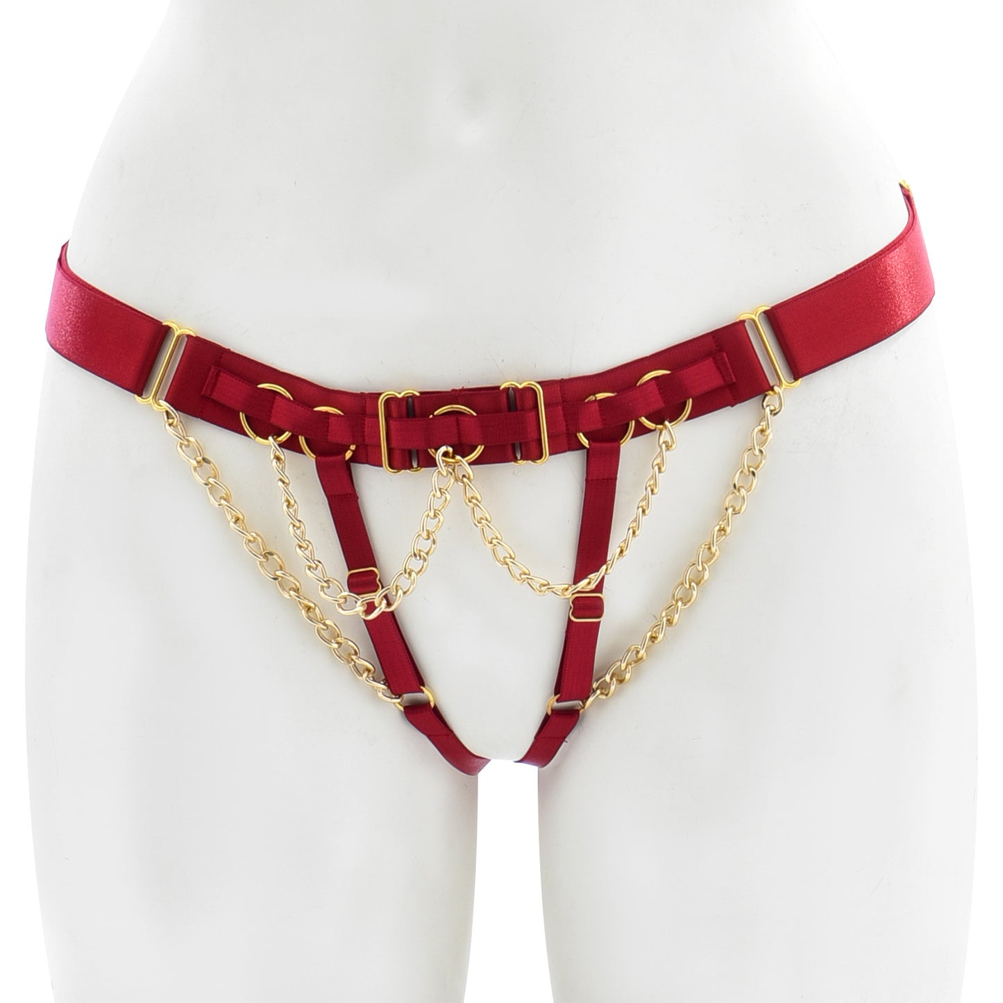 Gilded Desire Panty