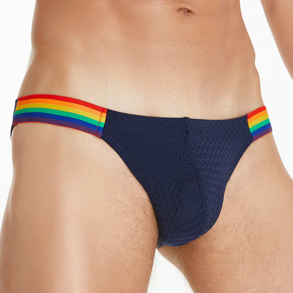 Pride Line Mesh Briefs mooods