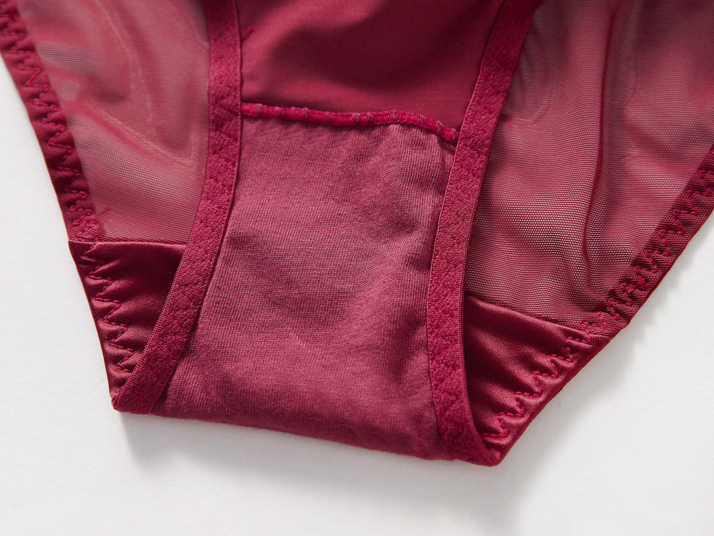 Crimson Veil Mesh Panty mooods