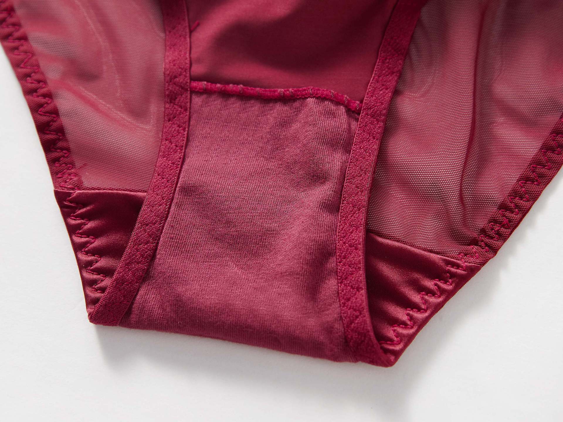 Crimson Veil Mesh Panty mooods