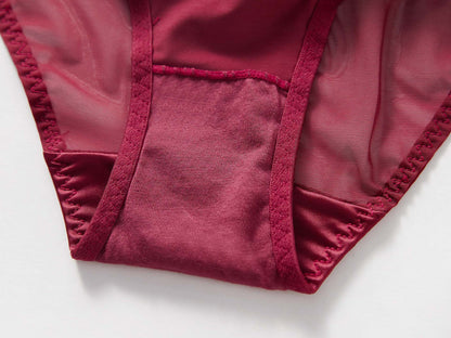 Crimson Veil Mesh Panty mooods