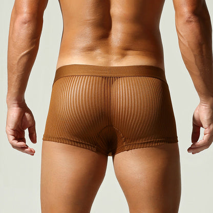 Sheer Line Contour Men’s Trunks — Bronze Edition mooods