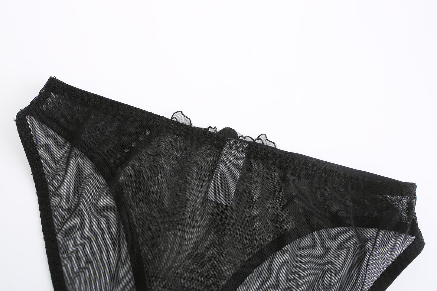 Rosaine Brief – Elegant Sheer Mesh Embroidered Lingerie mooods