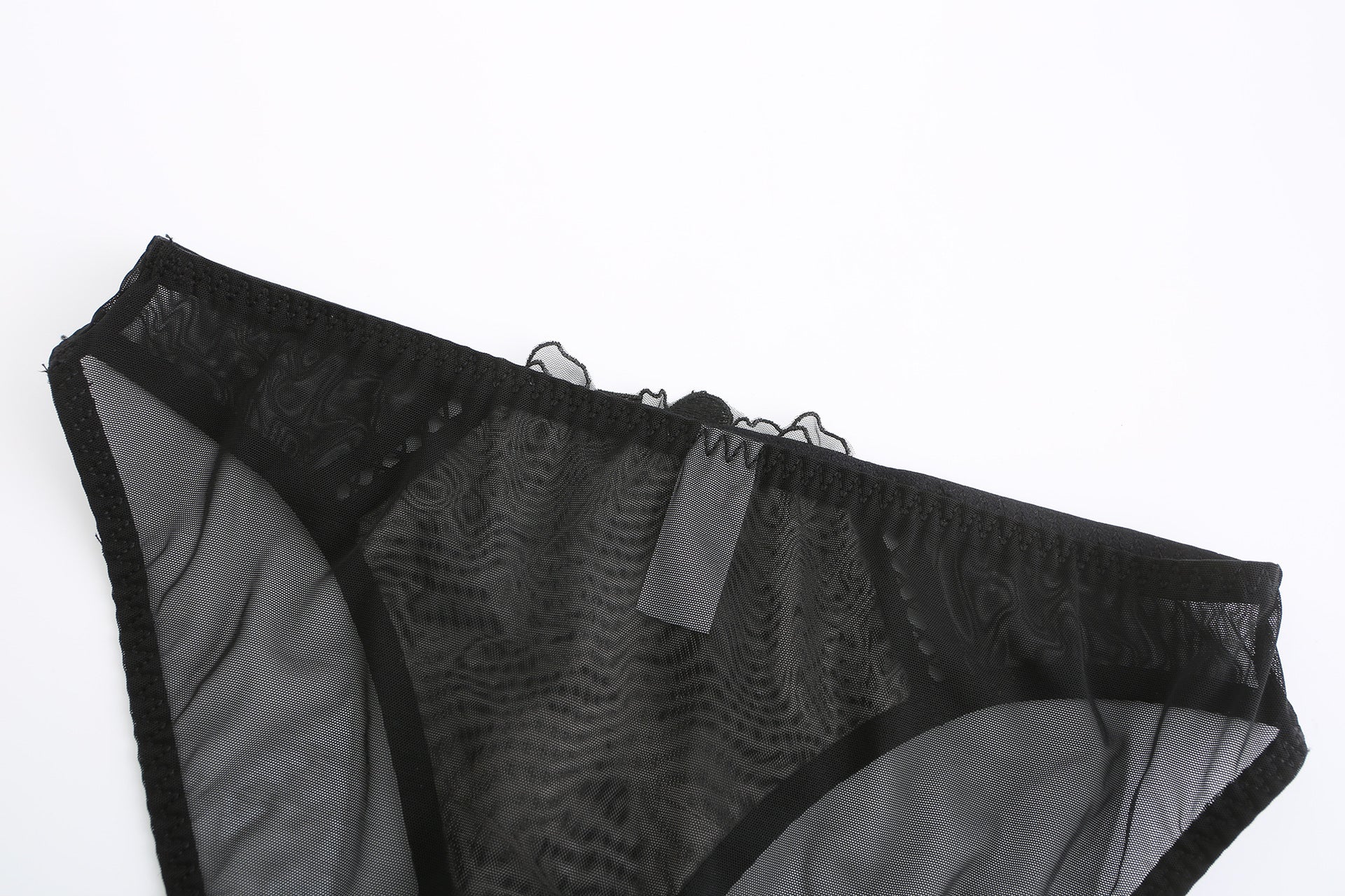 Rosaine Brief – Elegant Sheer Mesh Embroidered Lingerie mooods