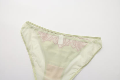 Aeris Brief Sheer Mesh Panty mooods
