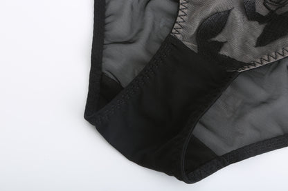 Rosaine Brief – Elegant Sheer Mesh Embroidered Lingerie mooods