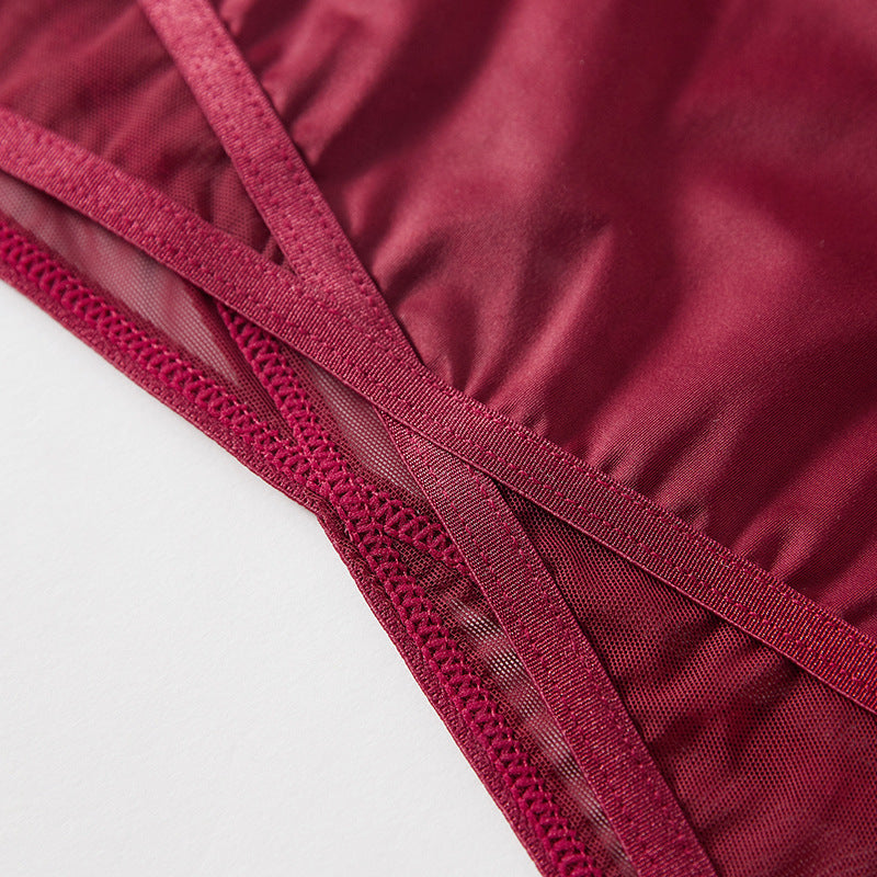 Crimson Veil Mesh Panty mooods