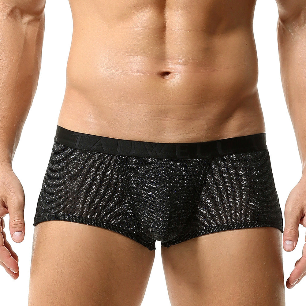 Onyx Sheer Spark Boxer Briefs mooods