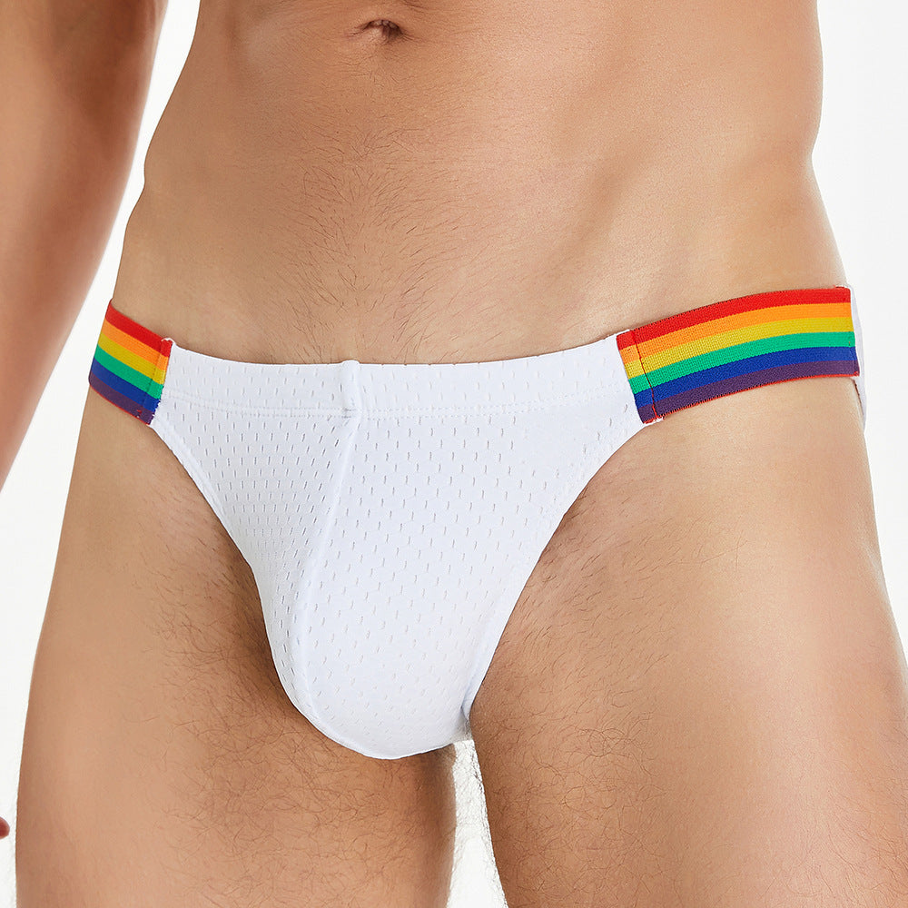 Pride Line Mesh Briefs – Arctic White mooods