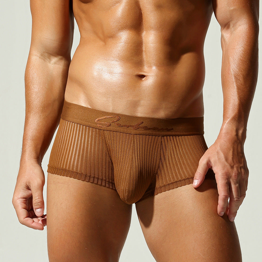 Sheer Line Contour Men’s Trunks — Bronze Edition mooods