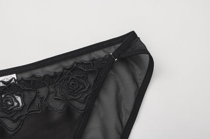 Aeris Noir Brief Mesh Panty mooods