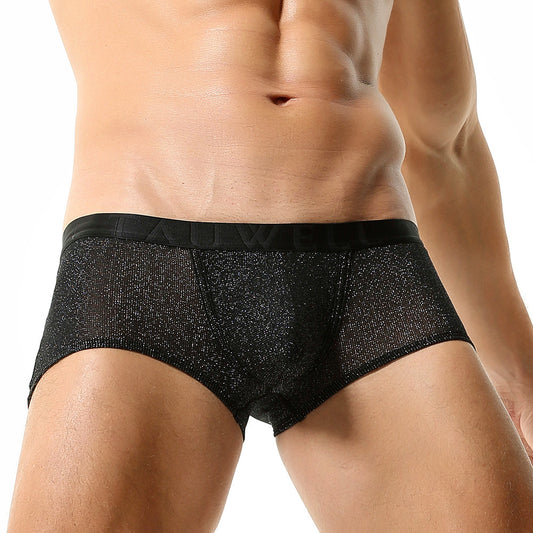 Onyx Sheer Spark Boxer Briefs mooods