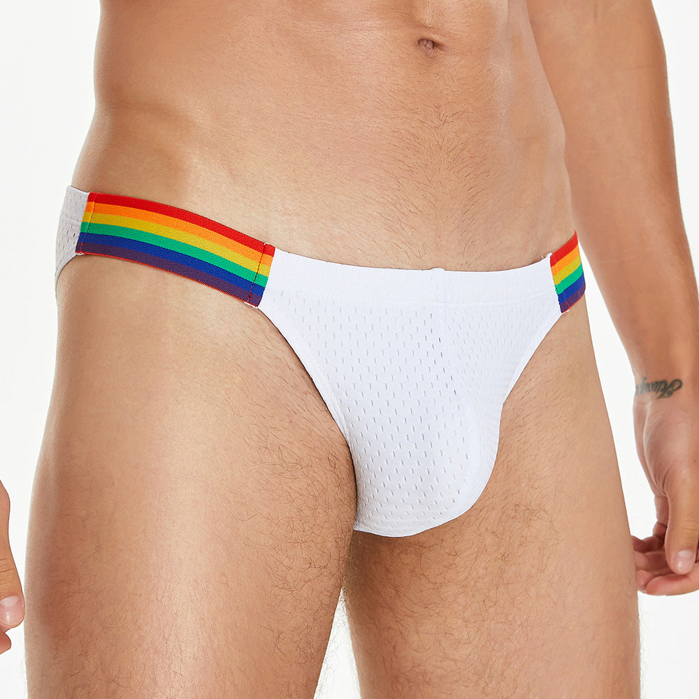 Pride Line Mesh Briefs – Arctic White mooods