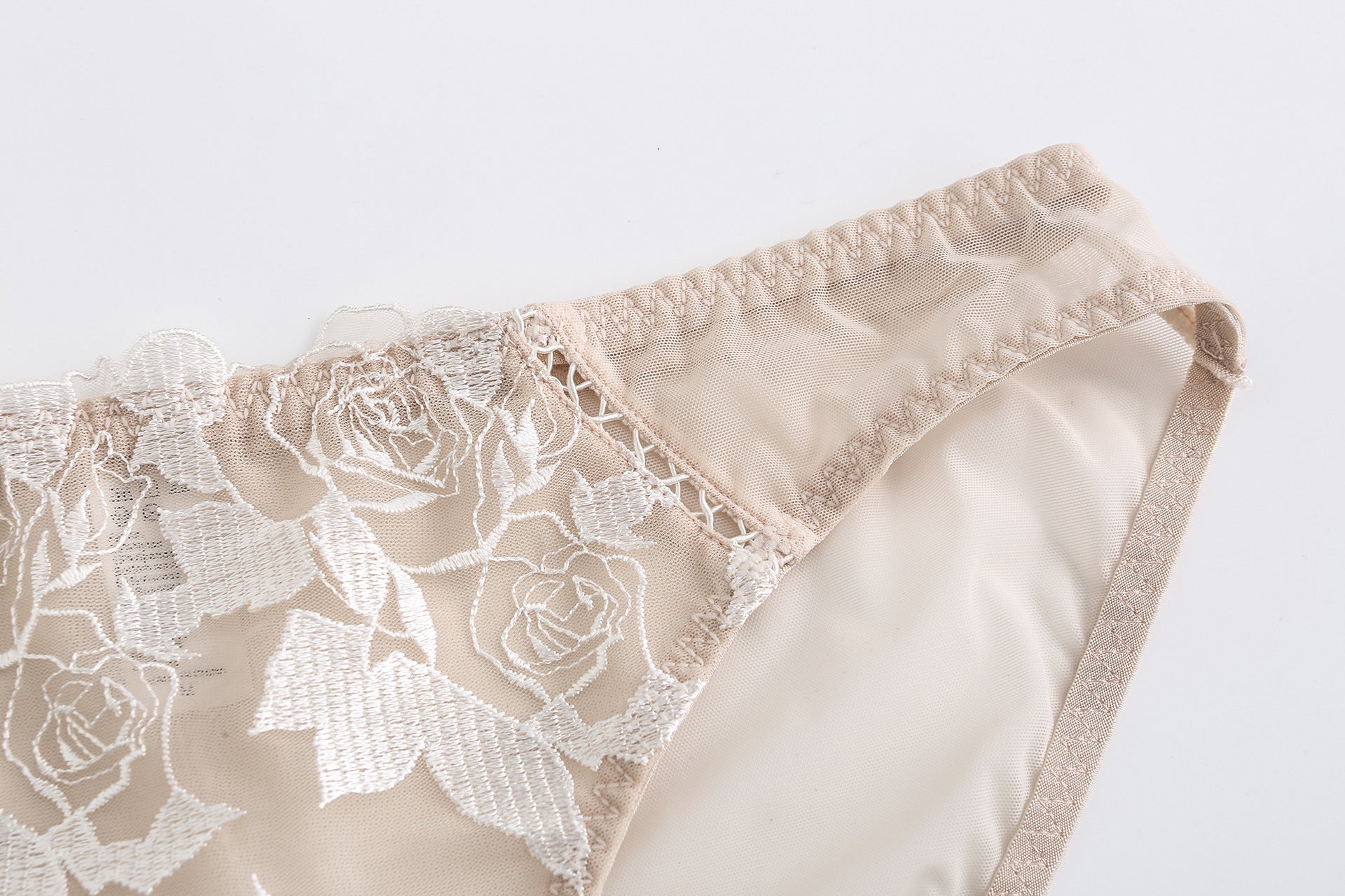 Rosaine Brief – Elegant Sheer Mesh Embroidered Lingerie mooods