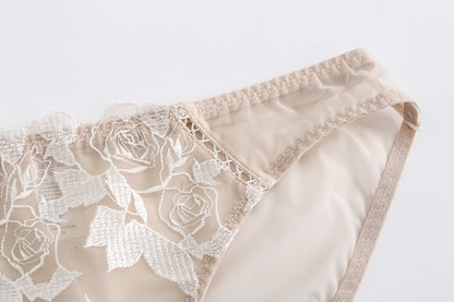 Rosaine Brief – Elegant Sheer Mesh Embroidered Lingerie mooods
