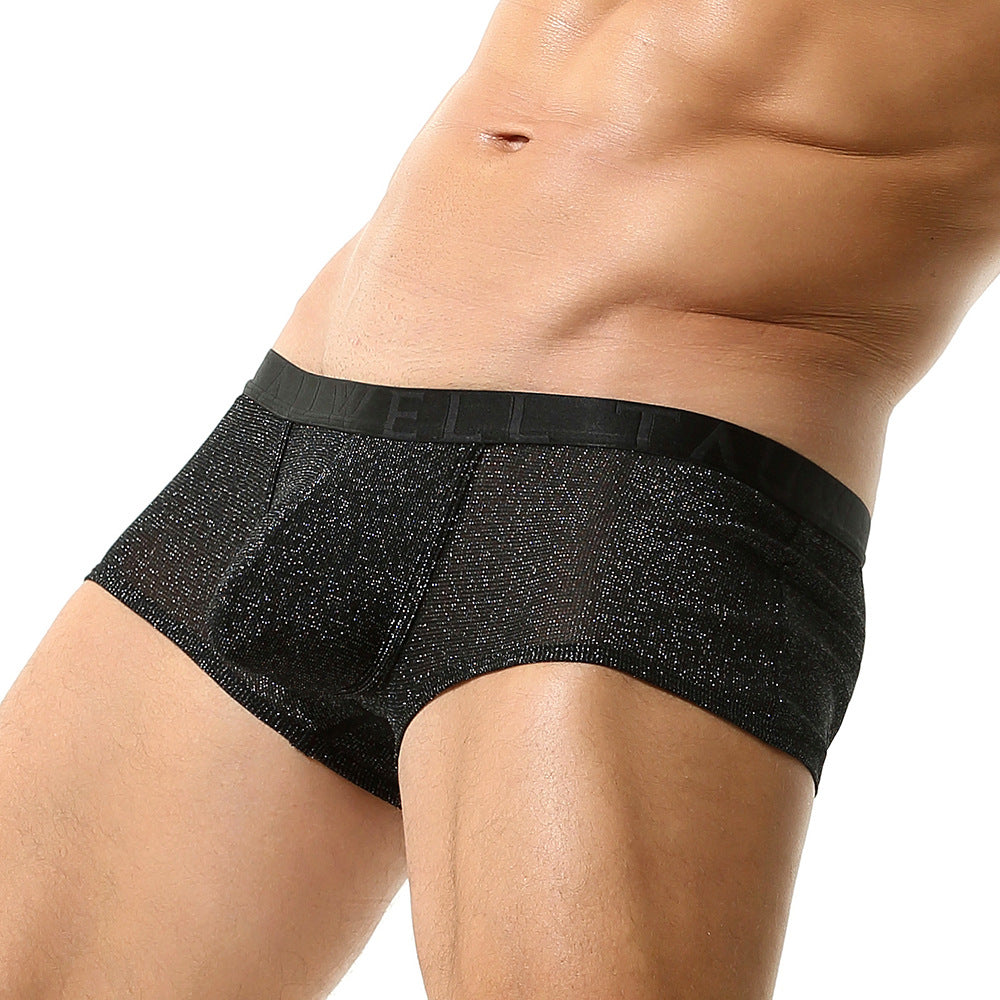 Onyx Sheer Spark Boxer Briefs mooods