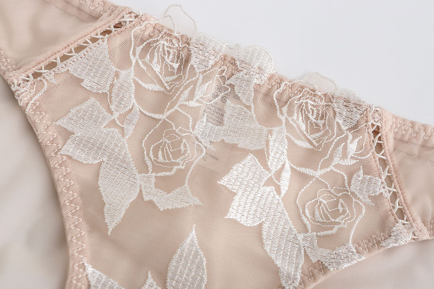 Rosaine Brief – Elegant Sheer Mesh Embroidered Lingerie mooods