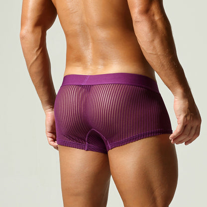 Sheer Line Contour Men’s Trunks — Plum Edition mooods