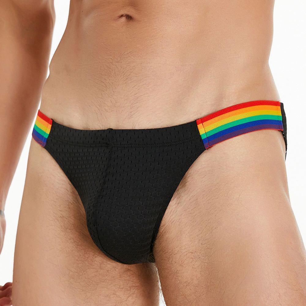 Pride Line Mesh Briefs – Onyx Black mooods