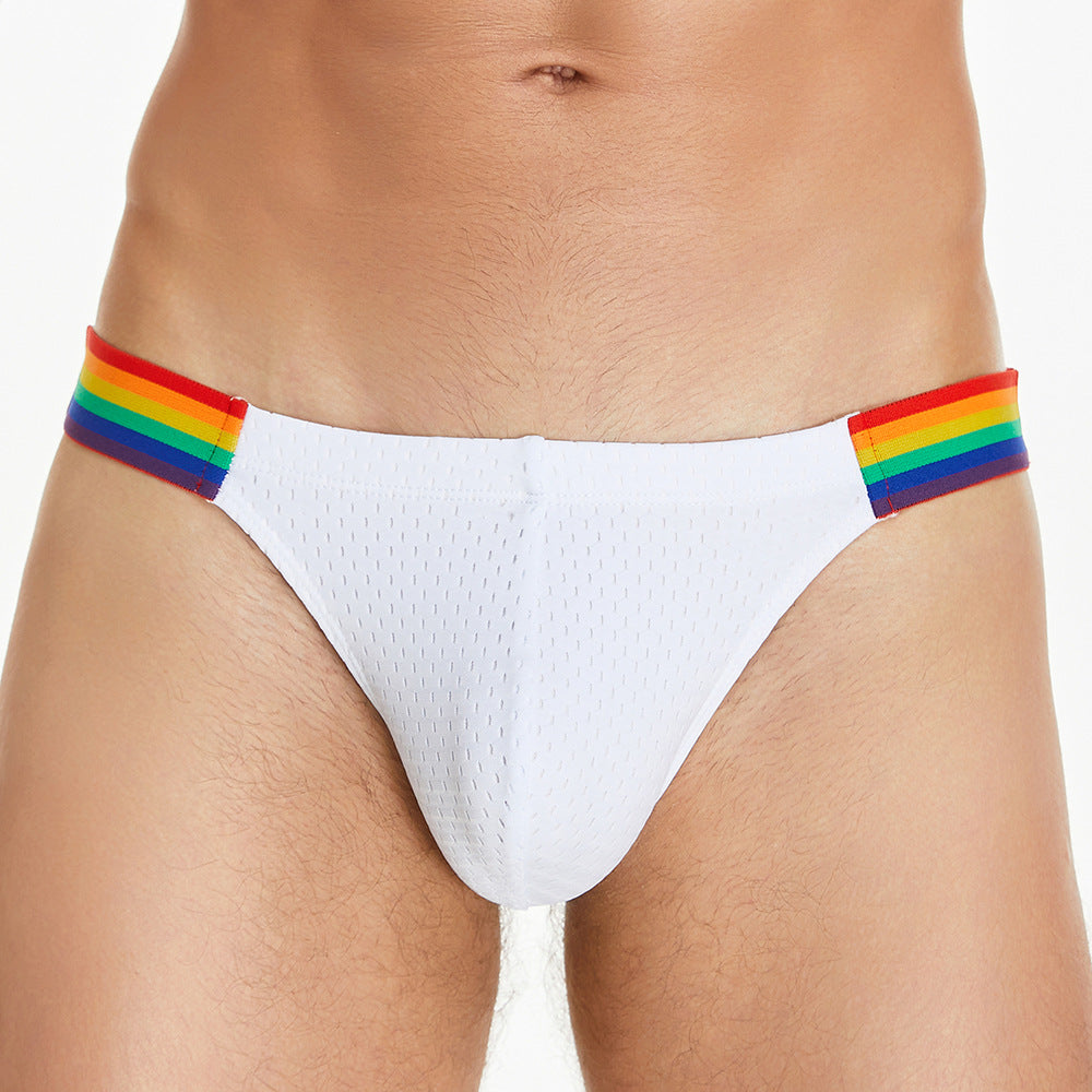 Pride Line Mesh Briefs – Arctic White mooods
