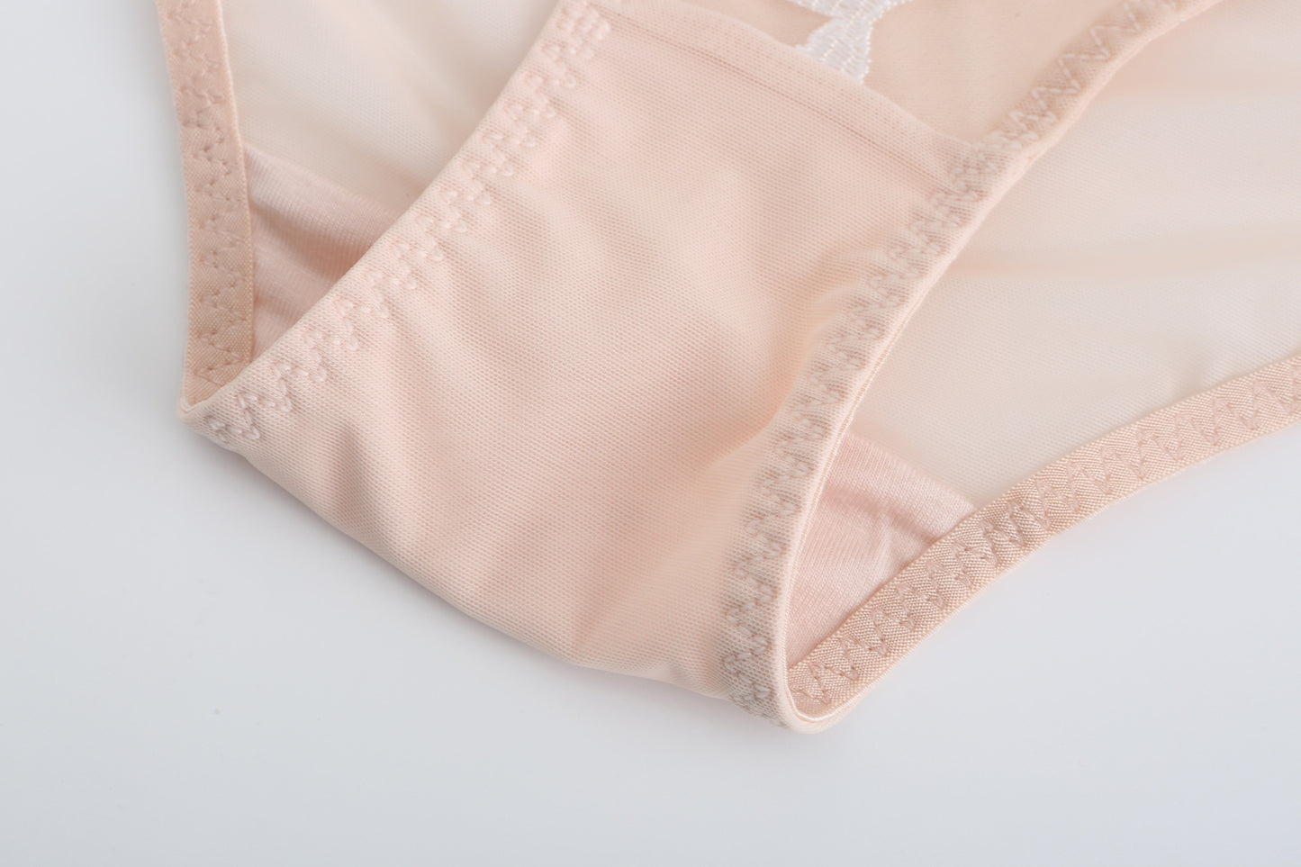 Rosaine Brief – Elegant Sheer Mesh Embroidered Lingerie mooods