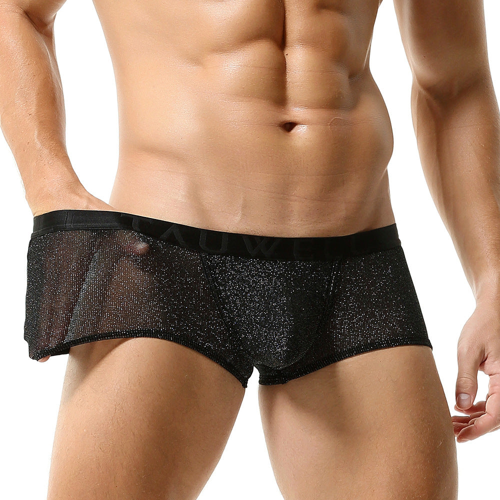 Onyx Sheer Spark Boxer Briefs mooods